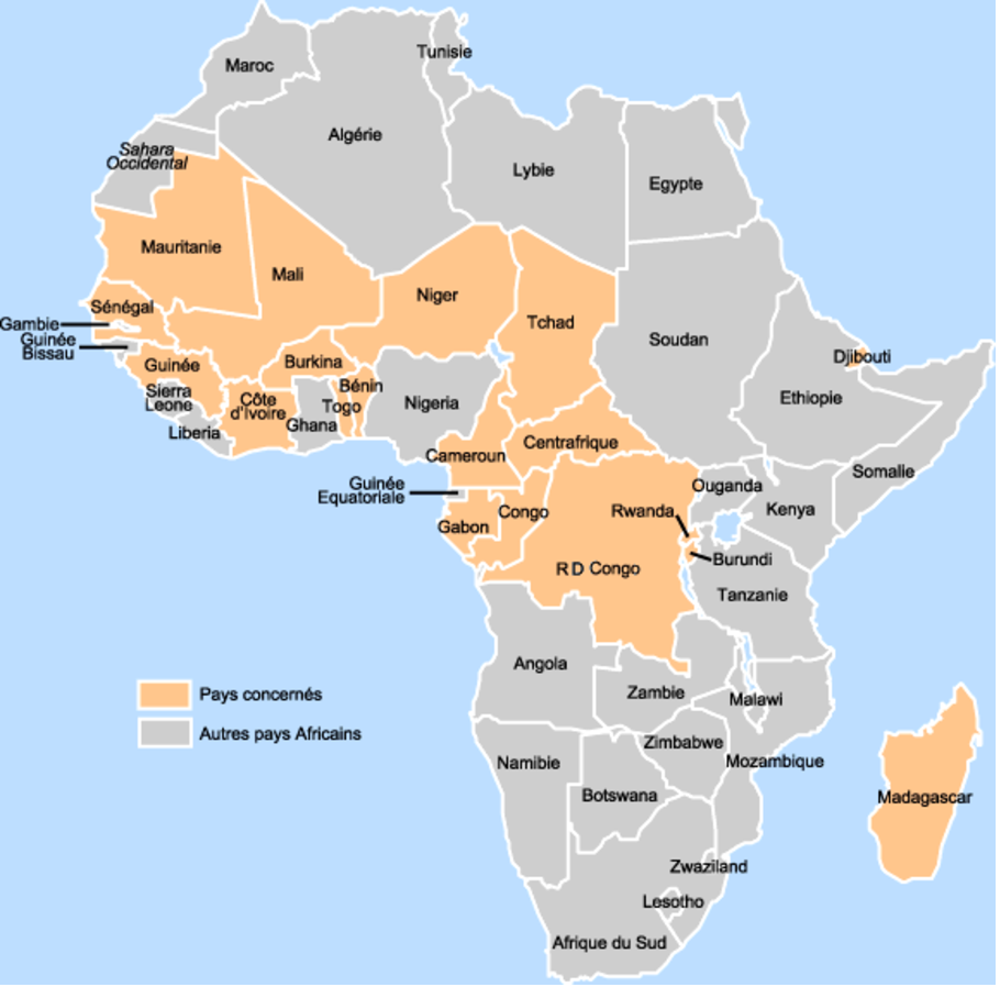 Des blogs scientifiques pour l’Afrique